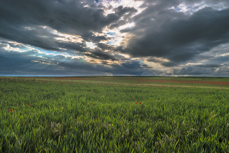 Paisaje del Condado de Castilla